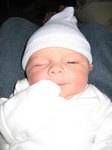 Here's 'Happy Elf'. Taken on August 23rd, 2007