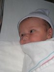  Taken on August 23rd, 2007