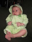A study in green. Taken on October 11th, 2007